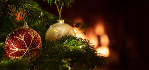 How to Survive the Festive Season – Half Day Course and optional delicious three course Thai meal – Saturday 5th December 2026 – 10am